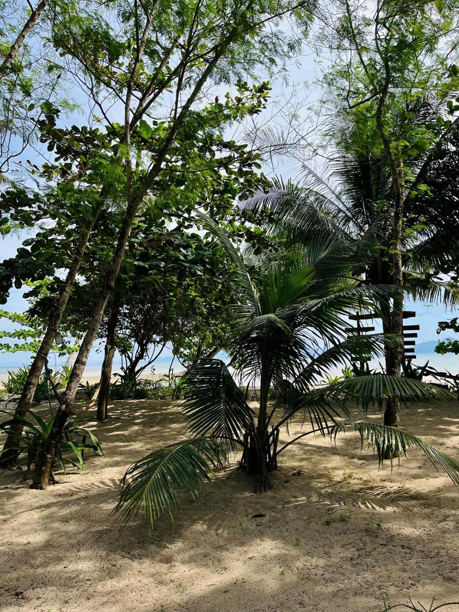 Efrena Agro Tourism Beach El Nido Exteriér fotografie
