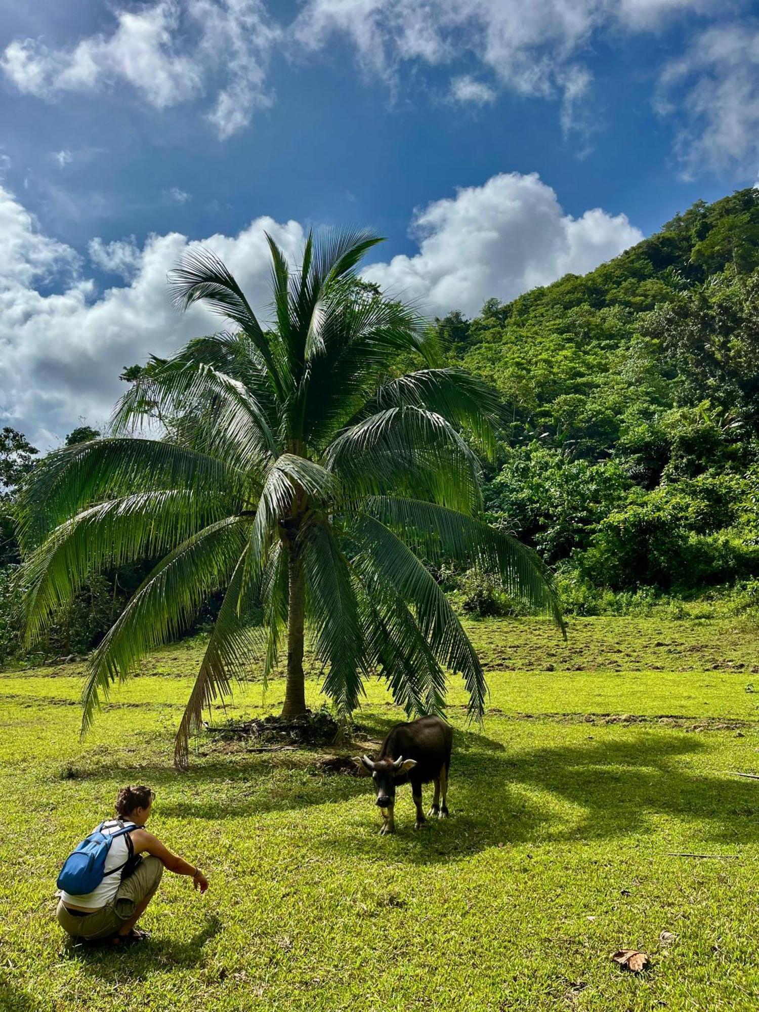 Efrena Agro Tourism Beach El Nido Exteriér fotografie