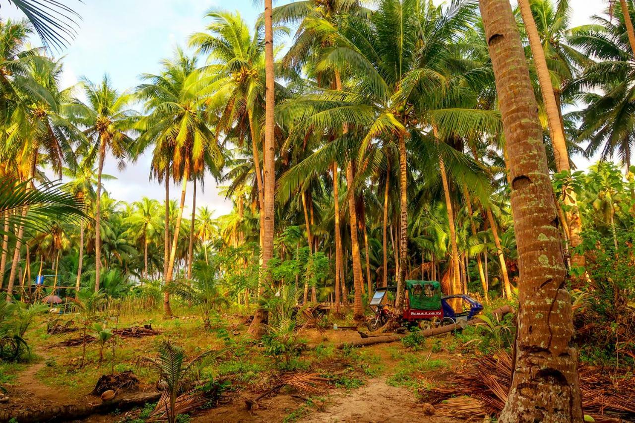 Efrena Agro Tourism Beach El Nido Exteriér fotografie